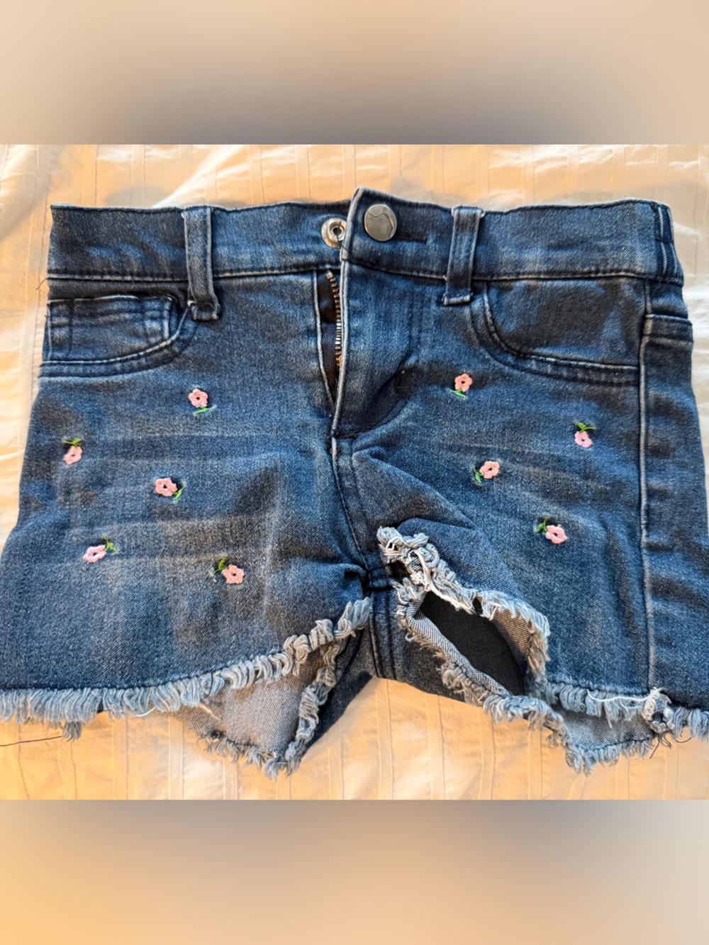 Joe's Jeans Light Blue Denim Shorts with Pink Embroidery